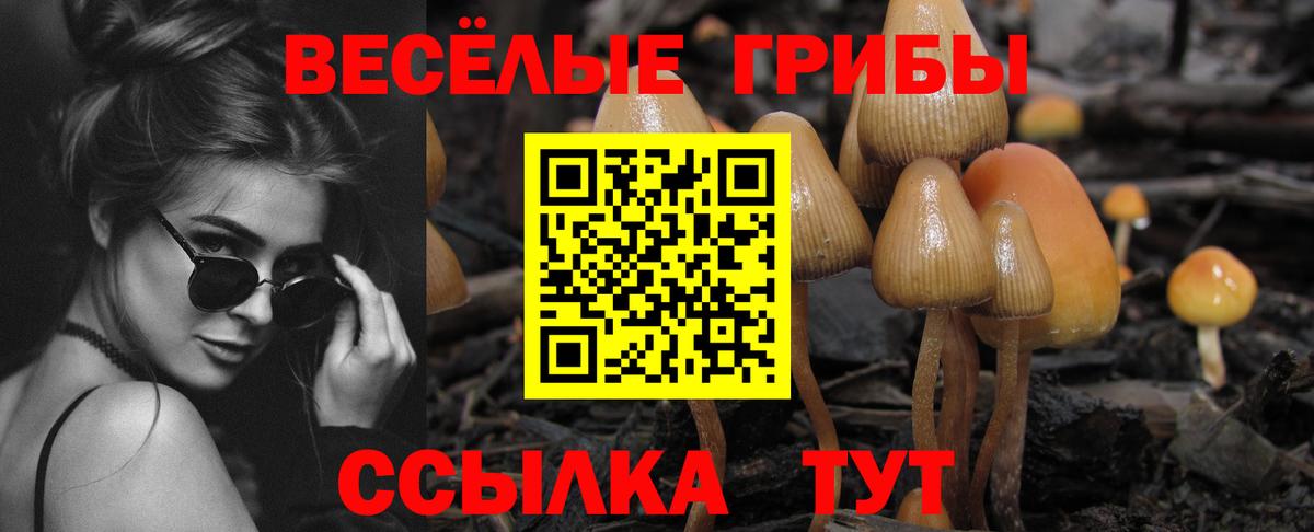 наркота  Псилоцибиновые грибы мицелий  Казань  Вход с VPN  Галлюциногенные грибы Cubensis 